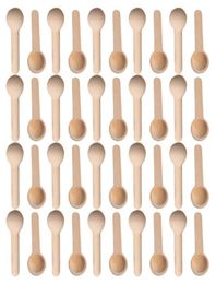 501002005001000Pcs Mini Nature Wooden Home Kitchen Cooking Spoons Tool Scooper Salt Seasoning Honey Coffee4761691