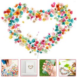 Decorative Flowers Pressed Material DIY Accessory Dried Nails Pink Resin Dry Making