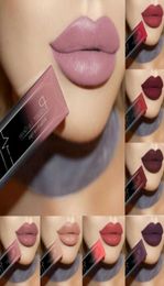 Women Waterproof Makeup Lips GLosss Lip Gloss Long Lasting Pigment Metallic Nude Matte Liquid Lipstick Bea4661988089