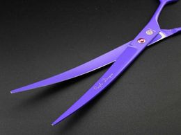 top quality with leather case purple dragon 90quot professional hair cutting scissors Pet hair scissors Curved scissors 62HRS 96224620