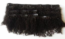 Mongolian Afro Kinky Curly Clip In Human Hair Extensions For Black Women 4mm Natural Black 120g GEASY4692106