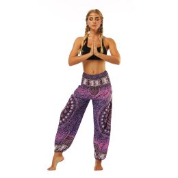 Capris Ethnic Style Women Harem Pants Casua Loosel Pants 3D Dot Printed Wide Leg Trousers High Waist Polyester Bloomers