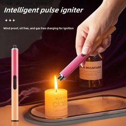 Lighters Hot LED display screen pulse USB arc plasma lamp charging electric cigar lamp outdoor portable windproof high-power lamp Q240305