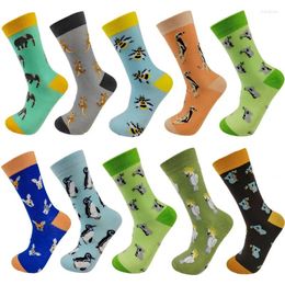 Women Socks Funny Women's Japanese Korean Harajuku Cartoon Horse Steed Creative Spring And Autumn Streetwear Fashion Happy