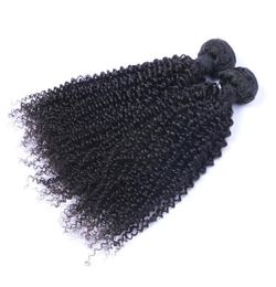 Brazilian Kinky Curly Human Hair Bundles Unprocessed Remy Hair Weaves Double Wefts 100gBundle 2bundlelot Hair Extensions1124723