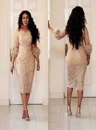 Champagne Lace Short Mother of the Bride Dresses Plus Size 2022 Tea Length 34 Long Sleeve Sheath Mother of Groom Gowns M024228806