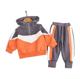 New Spring Autumn Baby Boys Girls Clothes Children Cotton Hooded Pants 2pcsSets Toddler Fashion Active Clothing Kids Tracksuits1371795708