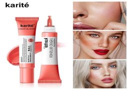 Blush 4 Colours 15ml Liquid Makeup Face Make Up Professional Natural Cheek Blusher Long Lasting Cosmetic Tools Base TSLM11865044