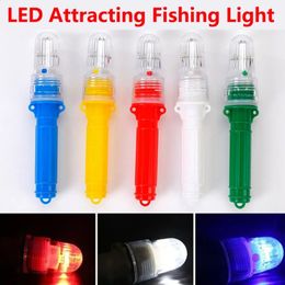 10PC Floating LED Fishing Light Dual Flash LED Light Control Fishing Bait Light Waterproof Net Flash Warning Light 240305