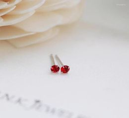 Stud Earrings DIWENFU Genuine 925 Sterling Silver Ruby Earring Red Gemstone Jewelry Bizuteria Orecchini Female5841419