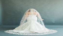 Fairy Pure 3D Floral Applique Wedding Veils Three Meters Long Veils One Layer Cathedral Length Cheap Bridal Veil3381623