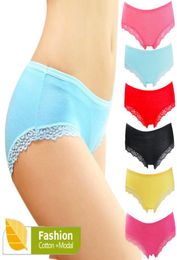 Women039s Lace Panties Sexy Underpants Bamboo Briefs Fibre Nice Ladies Underwear Women Lingerie Lace Panties for Women NK10035345952