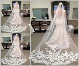 2019 Selling Cheapest In Stock Long Chapel Length Bridal Veil Appliques Veu De Noiva Longo Wedding Veil Lace Purfle with Comb1505946