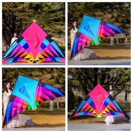 large kites flying for adults kites line delta kites factory nylon kite fabric sanke kites winder acrobatic kite 240223