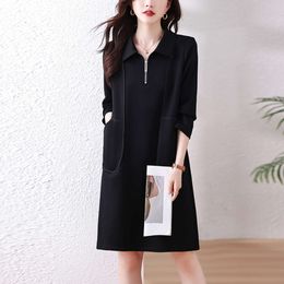 Light Luxury, Fashionable Temperament, Small Black Dress for Women in Spring 2024, New Solid Color, High-end, Minimalist Black, Loose Fitting and Stylish Skirt