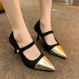Dresses Women's Shoes New Flashion Style with Skirt Temperament Single Shoes Pointed High Heels Luxury Shoes
