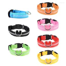 Dog Collars Glowing Collar For Dogs Protecting During Night Walks And Training Provide Safety 090C