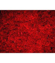 Digital Printed Red Roses Backdrop for Pography Valentine039s Day Flowers Wall Wedding Birthday Party Po Booth Background5161571