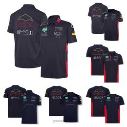 Men's Polos F1 Racing Model Clothing Tide Brand Team Perez Cardigan Polo Shirt Polyester Quick-drying Motorcycle Riding Suit with the Sa Customizable Xu9d