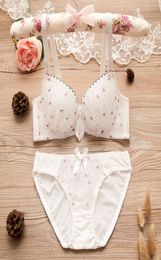 Puberty Girls Lace Dot Cotton Underwear Set Bra Teenage Underwear Small Breast Bra For Teenage Girls 1038 Y29745126