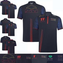 Dvuz Men's Polos New F1 Racing Team T-shirt Polo Shirt Summer Formula 1 Mens Short Sleeve T-shirts Driver Same Fan T-shirt Quick Dry Top Customizable