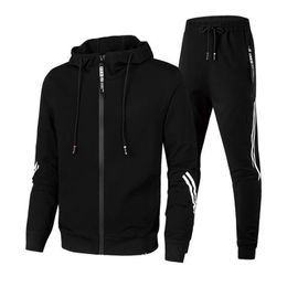 Men Casual Tracksuit Zipper Hoodies Top And Sweatpants 2pcs Set 2024 Male Outdoor Jogging Jackets Clothes Sport Man Pants Suit 240219