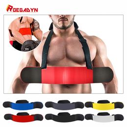 Arm Trainer Bicep Blaster Weightlifting Biceps Training Fitness Bomber Board 240227