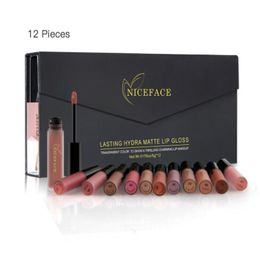 12PcsSet Matte LongLasting Lipstick 12 Colours Lip Gloss Waterproof Lip stick 5gx12 Beauty Lips Makeup Lipstick1552216