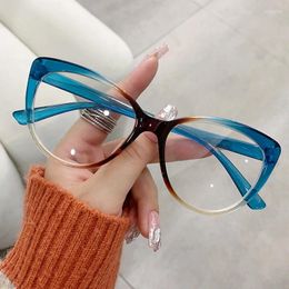 Sunglasses Frames Cat Eye Wear Blue Light Blocking Glasses Spectacle Eyeglasses Fashion Reading Women