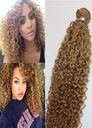 Afro Curly Weave Brazilian Human Hair Extensions Strawberry Honey Blonde Remy Hair Bundles 100gram Per Piece8635497