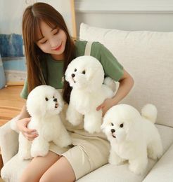 High Quality Simulation Bichon Frise Dog Plush toy Stuffed Korea Lifelike Pomeranian Dog puppy Toys Home Decor Kids brithday LJ2012168772