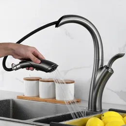 Kitchen Faucets Gunmetal Faucet Pull-Out Single Handle Hole Cold & Dual Function Sink Tap