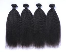 8A Peruvian Virgin Hair 100 Human Hair Afro Kinky Straight Curl Hair Weave Weft Bundles Extension Remy Quality6246261