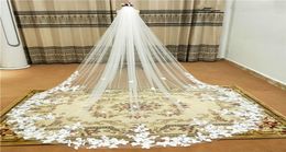 2020 3 Metres Cathedral Wedding Veils Lace Edge Bridal Gown White Ivory Soft Tulle White Ivory One Layer With Comb8989629