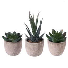 Decorative Flowers Faux Succulent Artificial Plants Simulation Accessories Fake Man Planter Pot