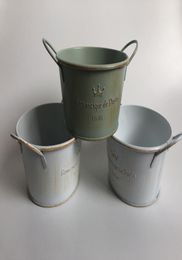 10Pcslot D12XH6 Vintage Nostalgia Tin Planter Galvanised Buckets Wedding Succulents Pot Romancique de Paris Since 1898 T2005293272156