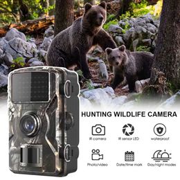 Hunting Cameras Hunting Cameras Ip66 waterproof safety camera for tracking wildlife and observing household safety Q240306