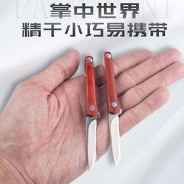 Mini Small Straight Portable Camping High Hardness Multi Functional Knife For Outdoor Survival 290939