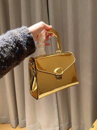 Sammy Handle Bag Tabby Mirror Wine God Chain Bag Women's Designer Handbag Classic Letter Silver Gold Buckle Fashion Handle Shoulder Bag Handbag