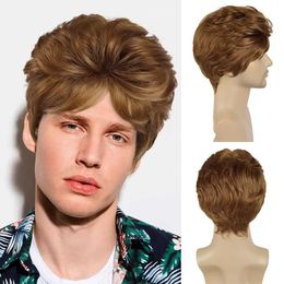 Hair Wigs Synthetic Brown Short Curly Wig for Men Fluffy Hairstyle Natural Pixie Cut with Bangs Heat Resistant Daily 240306