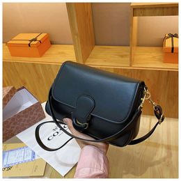 Small Group Women's Handbag New Trendy Internet Celebrity Underarm Fashionable Gril's Texture Western-style Stick Bag, Crossbody Bag