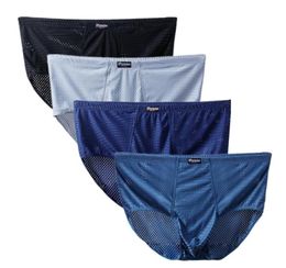 Underpants 9XL 8XL 7XL 6XL Big Size Men Underwear Shorts Briefts Mesh Hole Sexy Underpant Boy Undies Knickers Homme Panties 4 PCSU1152292