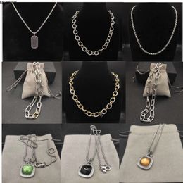 Designer Pendant Sterling Silver Necklace for Women Popular Retro Chain Gold Box Jewelry Gifts