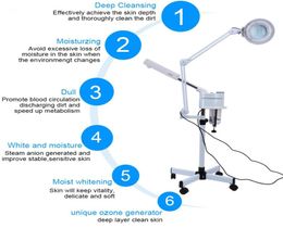 Oversea 3 in 1 UV Ozone Face Steamer Cold Light LED 5X Magnifier Floor Lamp Facial Body Tattoo Makeup Lamp Beauty Spa Salon Tool6985045