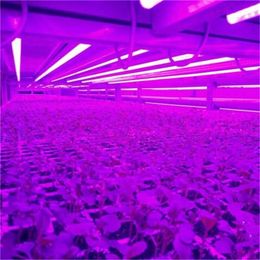 T8 LED Tubes Grow Plant Lights 90cm 3ft 14W AC85-265V Red Blue 72LEDs Fluorescent Bulbs 3 feet Lamps Fill-in Supplementary Lighting Vegetables Spectrum for Succulent