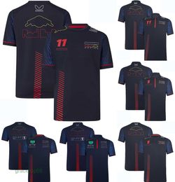 Men's Polos F1 Mens Team Polo Shirt T-shirt Formula 1 Racing Suit T-shirt 1 and 11 Driver Fan Top T-shirts Jersey Moto Motorcycle Clothing Customizable M66g