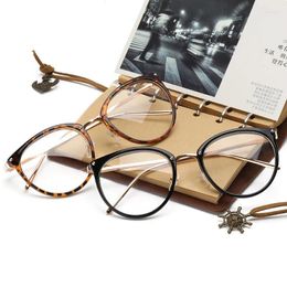 Sunglasses Frames Oversize Clear Lens Cat Eye Glasses Frame Women Fashion Oversized Spectacle Transparent Optical Eyeglasses