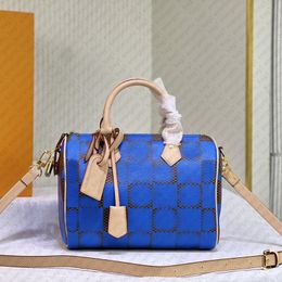 the Tote Bags Designer Bags soft leather Women Handbags Fashion Bags High Quality Shoulder Bags Luxury Crossbody Bags Pillow Bags Clutch Bags Lady Chequered Bag #Blue