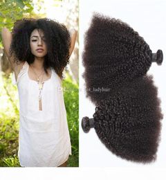 Unprocessed Raw Afro Kinky Hair Weave 3Pcs Lot 10quot30quot Natural Color Brazilian Human Hair Extensions Afro Kinky Curly Ha1229666