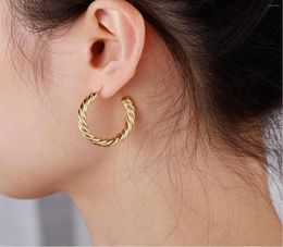 Hoop Earrings Stainless Steel Gold Colour Earring For Women Round Circle Tiny ed Statement Vintage Jewellery Friend Gift8501117
